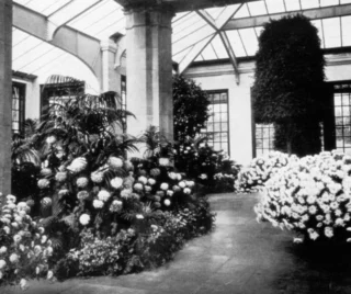 Stop and smell the flowers, FDU! 🌼 #FDUWhatsOld

📸 FDU Libraries Digital Archives. 1923    ... read more on Instagram.